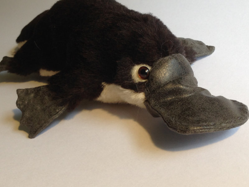 Brown mohair platypus with white mohair belly, dark grey faux leather bill and feet